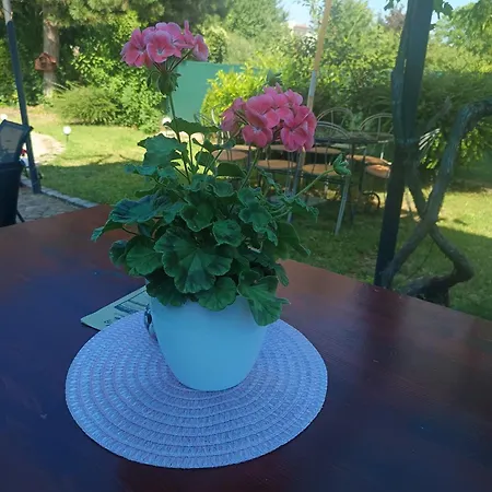 Archa Apartman